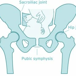 Hipslimmer Corset Post-pregnancy Support.